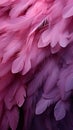 Delicate purple bird feathers create a soft and artistic background