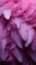 Delicate purple bird feathers create a soft and artistic background