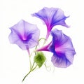 Delicate Purple Flowers: Realistic Brushwork On White Background