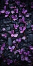 Delicate Purple Plants On Black Rock: A Visually Tactile Tabletop Photography