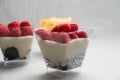 Delicate raspberry and mango panacotta decorated with fresh fruit. Royalty Free Stock Photo