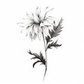 Delicate Realism: Black And White Flower Drawing With Whimsical Charm