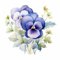 Delicate Realism: Watercolor Pansy Arrangement Clipart In Periwinkle Blue Hues Royalty Free Stock Photo