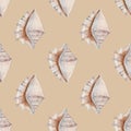 Delicate regular seamless pattern with realistic watercolor sea conchs on pastel background. Royalty Free Stock Photo