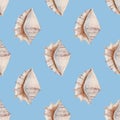 Delicate regular seamless pattern with realistic watercolor sea conchs on pastel background.