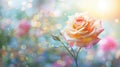 Delicate rose with glistening dewdrops in pastel hues. Flower blossom against bokeh light background