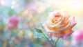 Delicate rose with glistening dewdrops in pastel hues. Flower blossom against bokeh light background