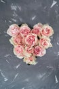 Delicate roses on a dark background. Congratulations on International Women`s Day and Valentine`s Day