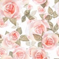 Delicate roses, watercolor floral seamless pattern 9 Royalty Free Stock Photo