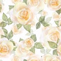 Delicate roses. Watercolor floral seamless pattern 8 Royalty Free Stock Photo