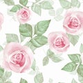 Delicate roses. Watercolor floral seamless pattern Royalty Free Stock Photo