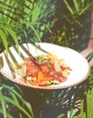 Delicate salad with ripe peach, cherry tomatoes, prosciutto, Parmesan cheese and honey-mustard sauce against the Royalty Free Stock Photo