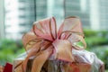 A delicate sating bow knot for a valentine`s gift Royalty Free Stock Photo
