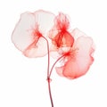 Delicate Sculptures: Red Flowers In X-ray Style