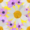 Delicate floral seamless pattern of large white and small lilac daisies on yellow background