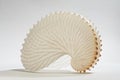 The delicate `shell` of an argonaut, or paper nautilus Royalty Free Stock Photo