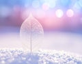 Vertical Skeleton Leaf on Snow with Soft Pink and Blue Out-of- Focus Lights winter delicate Royalty Free Stock Photo