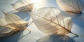 Delicate skeleton leaves illuminated by sunlight on a textured surface. Generative AI Royalty Free Stock Photo