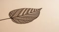 Delicate Skeletonized Leaf Vein Structure on Beige Background Royalty Free Stock Photo
