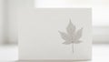 Delicate skeletonized maple leaf on a blank white greeting card Royalty Free Stock Photo