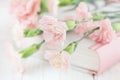 Small pink carnation flowers and book on a blurred background. Soft focus Royalty Free Stock Photo