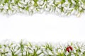 Bouquet of snow drops in a basket tied with red and white string on white background and decoration first of march celebration mar