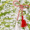 Delicate snowdrops on white with red and white string martisor symbol 1st of march celebrationdelicate snowdrops on white with red