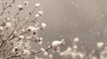 Delicate Snowfall on Branches with Soft Focus and Airy Background Royalty Free Stock Photo