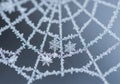 Delicate snowflakes rest on a frozen spider web, forming a complex pattern of icy crystals. The Royalty Free Stock Photo