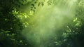 Ethereal Illustration of a Sunlit Forest with Green Leaves