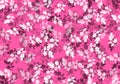 Soft Pink Flowers on a Gradient Background taxture Royalty Free Stock Photo