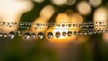 Delicate spider silk glisten with dew drops, each reflecting Royalty Free Stock Photo
