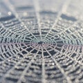 A delicate spider web, adorned with dewdrops, creates a mesmerizing pattern. Each droplet reflects Royalty Free Stock Photo