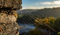 Delicate Spiderweb Glistening in Morning Light Royalty Free Stock Photo