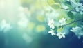 Delicate Spring Background