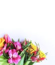 A delicate spring bouquet of yellow roses, pink tulips and Alstroemeria. Royalty Free Stock Photo