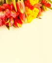 A delicate spring bouquet of yellow roses, pink tulips and Alstroemeria. Royalty Free Stock Photo