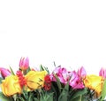 A delicate spring bouquet of yellow roses, pink tulips and Alstroemeria. Royalty Free Stock Photo