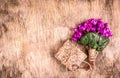 Delicate spring flowers and gift box on wooden background. Primroses. Bouquet of violets and gift. Copy space Royalty Free Stock Photo