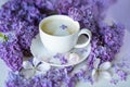 Delicate spring flowers of lilac and jasmine and a cup of coffee with milk. Delicate morning coffee Royalty Free Stock Photo