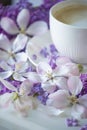 Delicate spring flowers of lilac and jasmine and a cup of coffee with milk. Delicate morning coffee Royalty Free Stock Photo