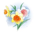 Delicate spring flowers in watercolor