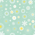Delicate spring seamless pattern with field chamomile, daisies and other flowers Royalty Free Stock Photo