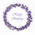 Delicate spring violets on a white background close up. Happy birthday card Royalty Free Stock Photo