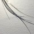 Delicate strands casting soft shadows on textured white paper Royalty Free Stock Photo