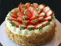 A delicate strawberry cake shang on a dark background.