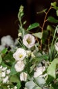 Delicate summer flowers, close-up. Wedding inspiration. Black background