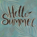 Delicate summer illustration with black lettering on green background Royalty Free Stock Photo