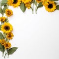 Delicate Sunflower Border Crisp Copy Space Royalty Free Stock Photo