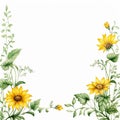 Delicate Sunflower Border White Serenity